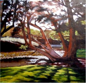 Stephen Kaldor - Centennial Park (NSW)